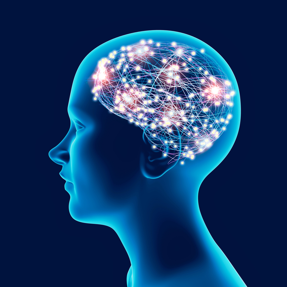 brain